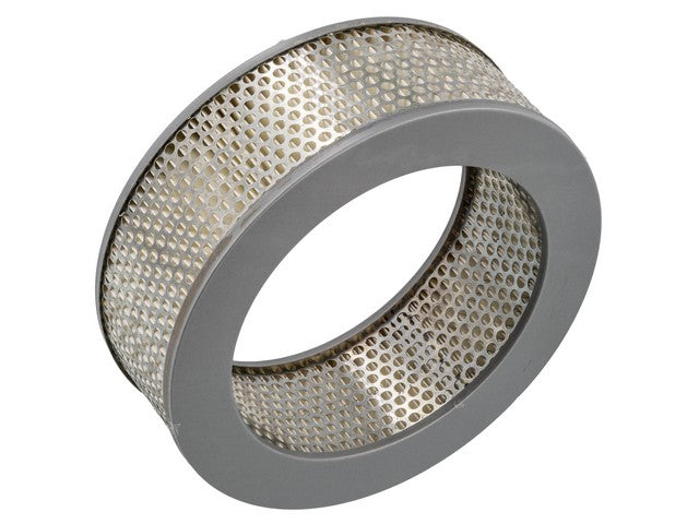 Engine Air Filter PTC PA4494