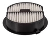 Engine Air Filter PTC PA5218