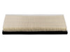 Engine Air Filter PTC PA5374
