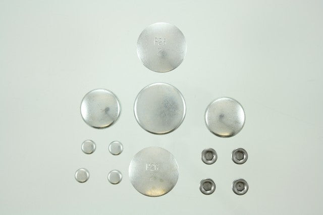 Engine Expansion Plug Kit Pioneer PE-103-R