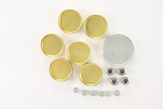 Engine Expansion Plug Kit Pioneer PE-110-BR