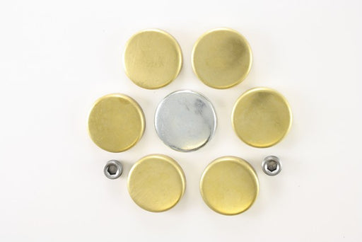 Engine Expansion Plug Kit Pioneer PE-116-B