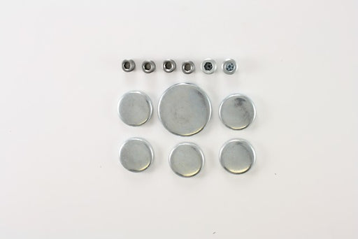 Engine Expansion Plug Kit Pioneer PE-118-R