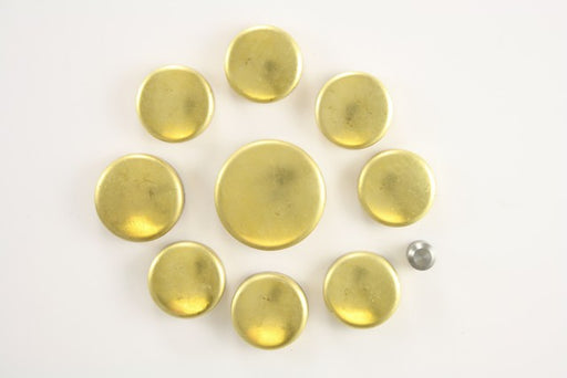 Engine Expansion Plug Kit Pioneer PE-132-BR