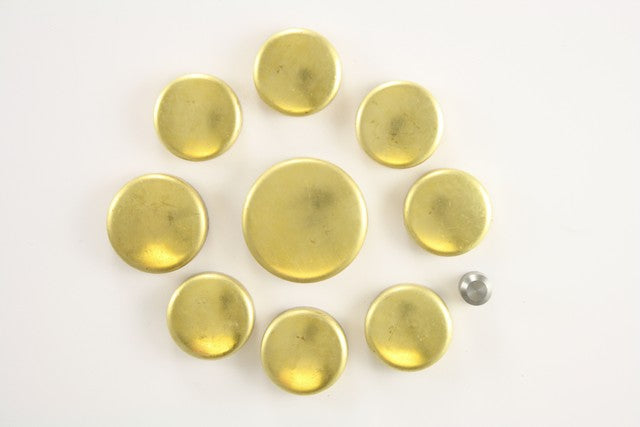 Engine Expansion Plug Kit Pioneer PE-132-BR