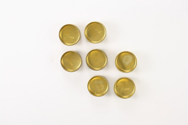 Engine Expansion Plug Kit Pioneer PE-148-BR