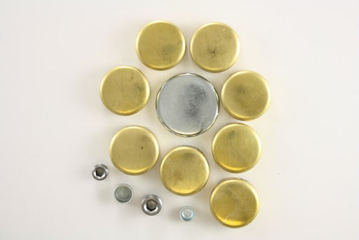 Engine Expansion Plug Kit Pioneer PE-169-BR