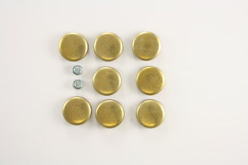 Engine Expansion Plug Kit Pioneer PE-189-BR