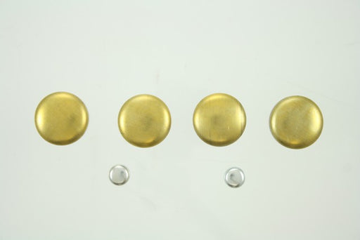 Engine Expansion Plug Kit Pioneer PE-227-BR