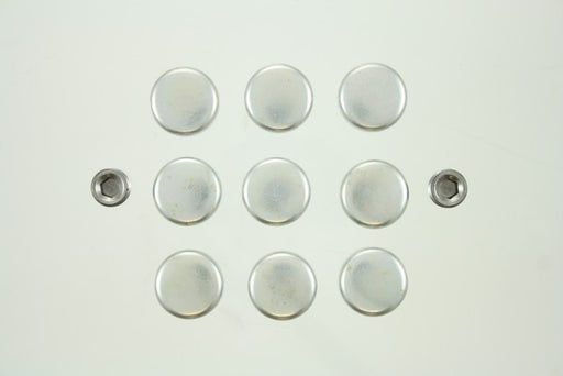 Engine Expansion Plug Kit Pioneer PE-236-R