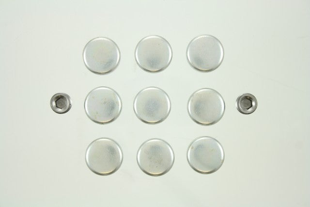 Engine Expansion Plug Kit Pioneer PE-236-R