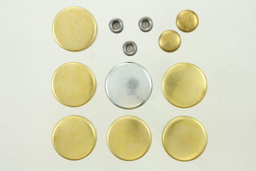 Engine Expansion Plug Kit Pioneer PE-256-BR