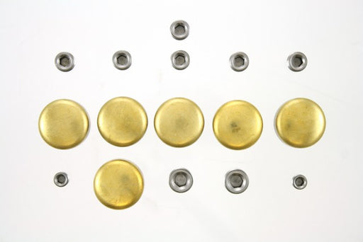 Engine Expansion Plug Kit Pioneer PE-276-B