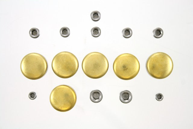 Engine Expansion Plug Kit Pioneer PE-276-B