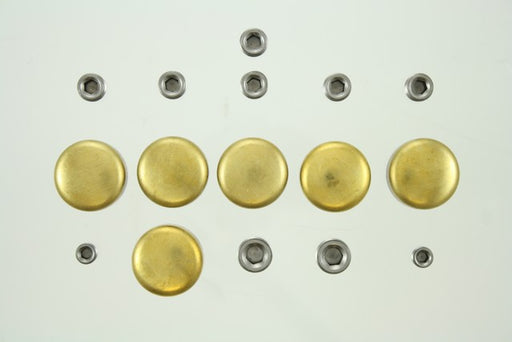 Engine Expansion Plug Kit Pioneer PE-276-BR