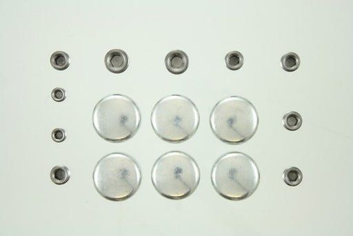 Engine Expansion Plug Kit Pioneer PE-276-R