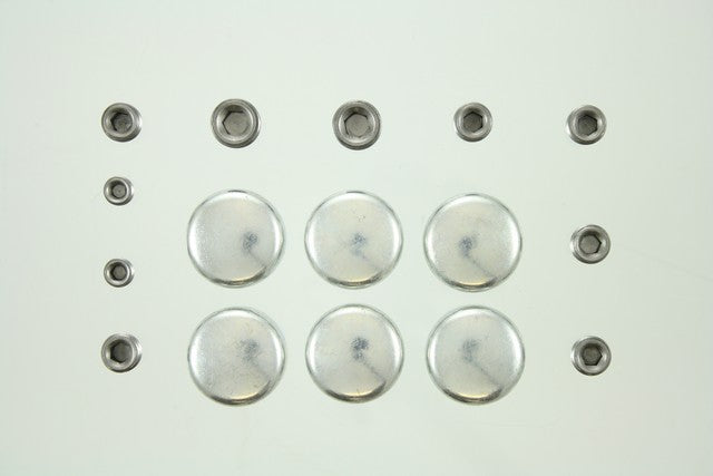 Engine Expansion Plug Kit Pioneer PE-276-R