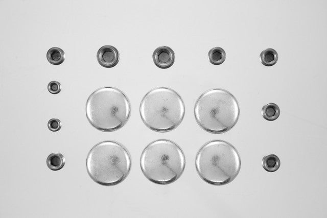 Engine Expansion Plug Kit Pioneer PE-276