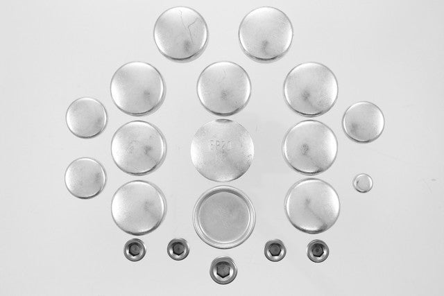 Engine Expansion Plug Kit Pioneer PE-613-R