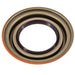 Differential Pinion Seal PTC PT3896
