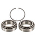 Wheel Bearing and Race Set PTC PTA22