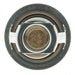 Engine Coolant Thermostat MotoRad PTS100