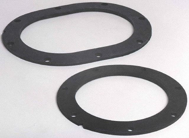 Fuel Pump Tank Seal Carter Fuel PTS2005
