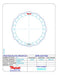 Friction Plates Raybestos Powertrain R558425