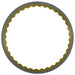 Friction Plates Raybestos Powertrain R558561