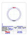 Friction Plates Raybestos Powertrain R572325