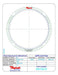 Friction Plates Raybestos Powertrain R573570