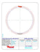 Friction Plates Raybestos Powertrain R600450