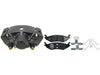 Disc Brake Caliper Raybestos Brakes RC11795SV
