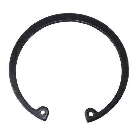 Wheel Bearing Retaining Ring DT Components RET171
