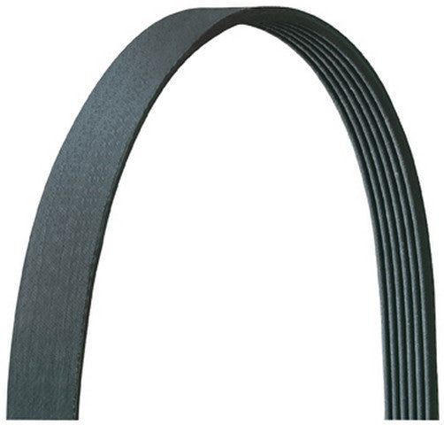 Serpentine Belt Dayco 5081223DR