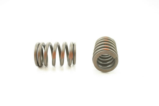 Engine Valve Spring Pioneer RV-1001