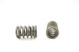 Engine Valve Spring Pioneer RV-1002-X
