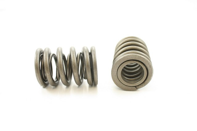 Engine Valve Spring Pioneer RV-1009-A