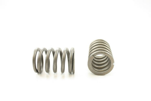 Engine Valve Spring Pioneer RV-1011