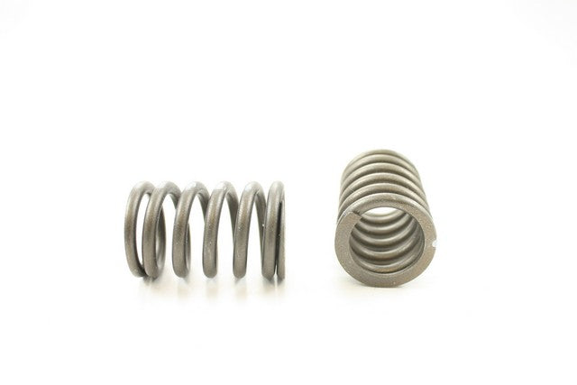 Engine Valve Spring Pioneer RV-1011