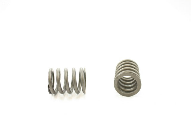 Engine Valve Spring Pioneer RV-1015