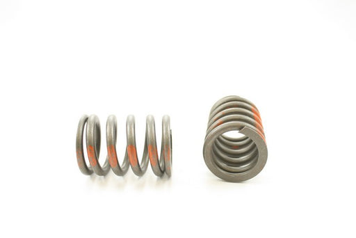 Engine Valve Spring Pioneer RV-1040