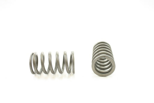 Engine Valve Spring Pioneer RV-1041-X