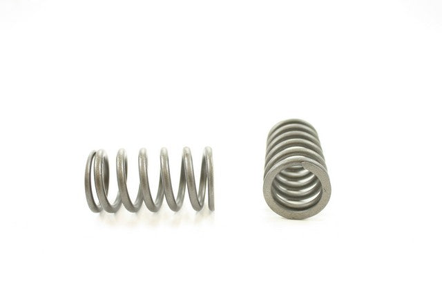 Engine Valve Spring Pioneer RV-1041-X