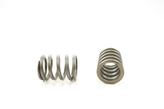 Engine Valve Spring Pioneer RV-1044