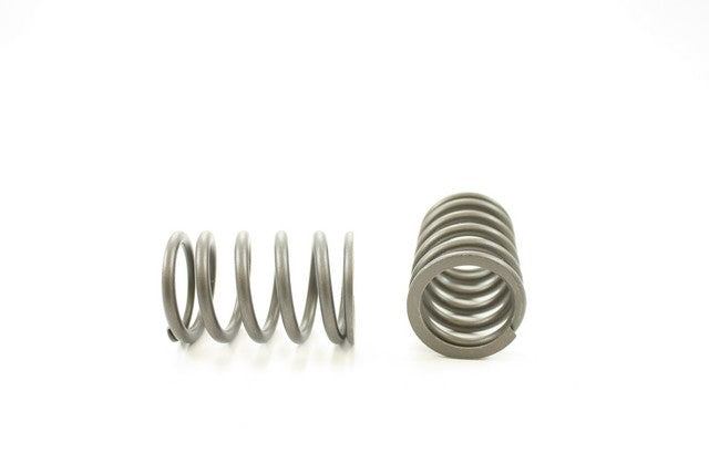 Engine Valve Spring Pioneer RV-1045