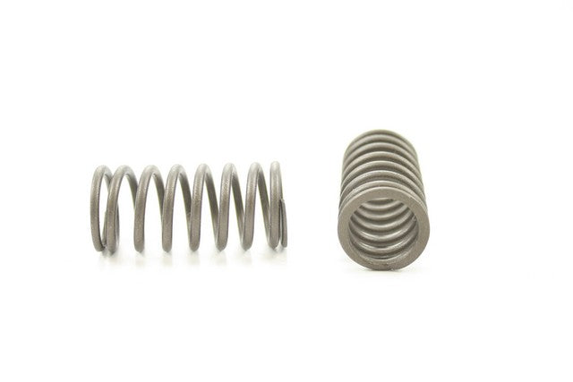 Engine Valve Spring Pioneer RV-1046