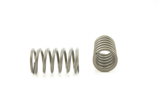 Engine Valve Spring Pioneer RV-1047