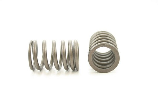Engine Valve Spring Pioneer RV-1048
