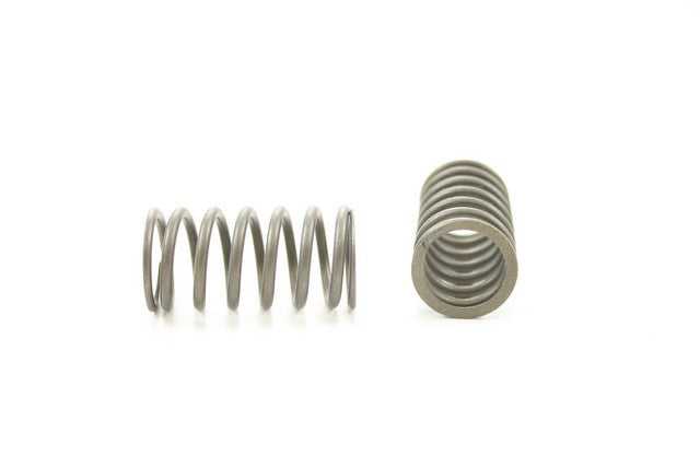 Engine Valve Spring Pioneer RV-1049